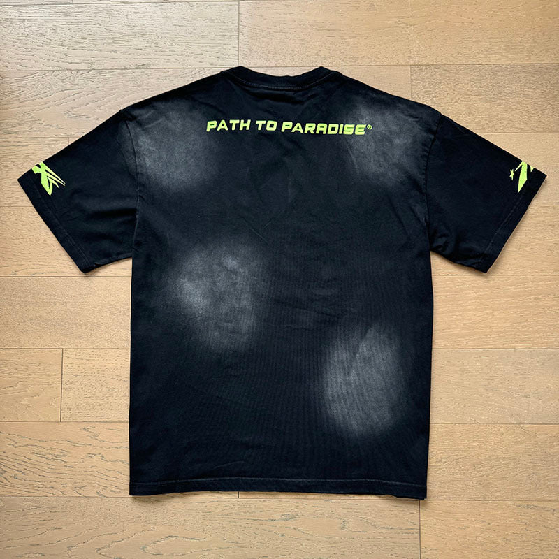 Past to Paradise
