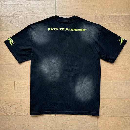 Past to Paradise